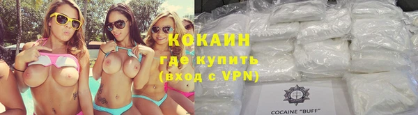 PSILOCYBIN Михайлов
