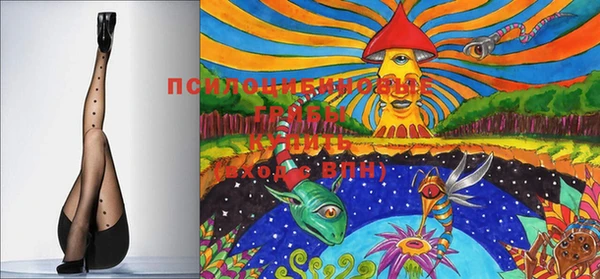 PSILOCYBIN Михайлов
