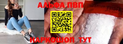 индика Гатчина