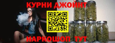 индика Гатчина