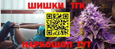 индика Гатчина