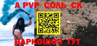 индика Гатчина