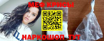 индика Гатчина