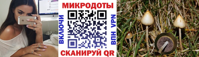 Галлюциногенные грибы Psilocybine cubensis Нижнекамск