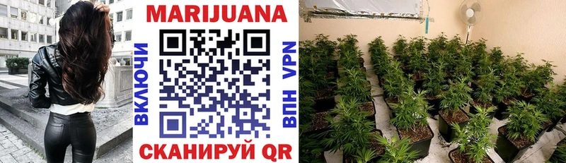 купить наркотики цена  Нижнекамск  OMG зеркало  Марихуана гибрид 